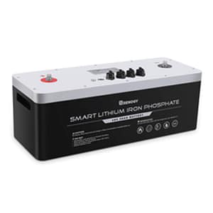 48V 50Ah Smart Lithium Iron Phosphate Battery - Renogy