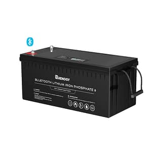 12V 200Ah Lithium Iron Phosphate Battery w/ Bluetooth - Renogy