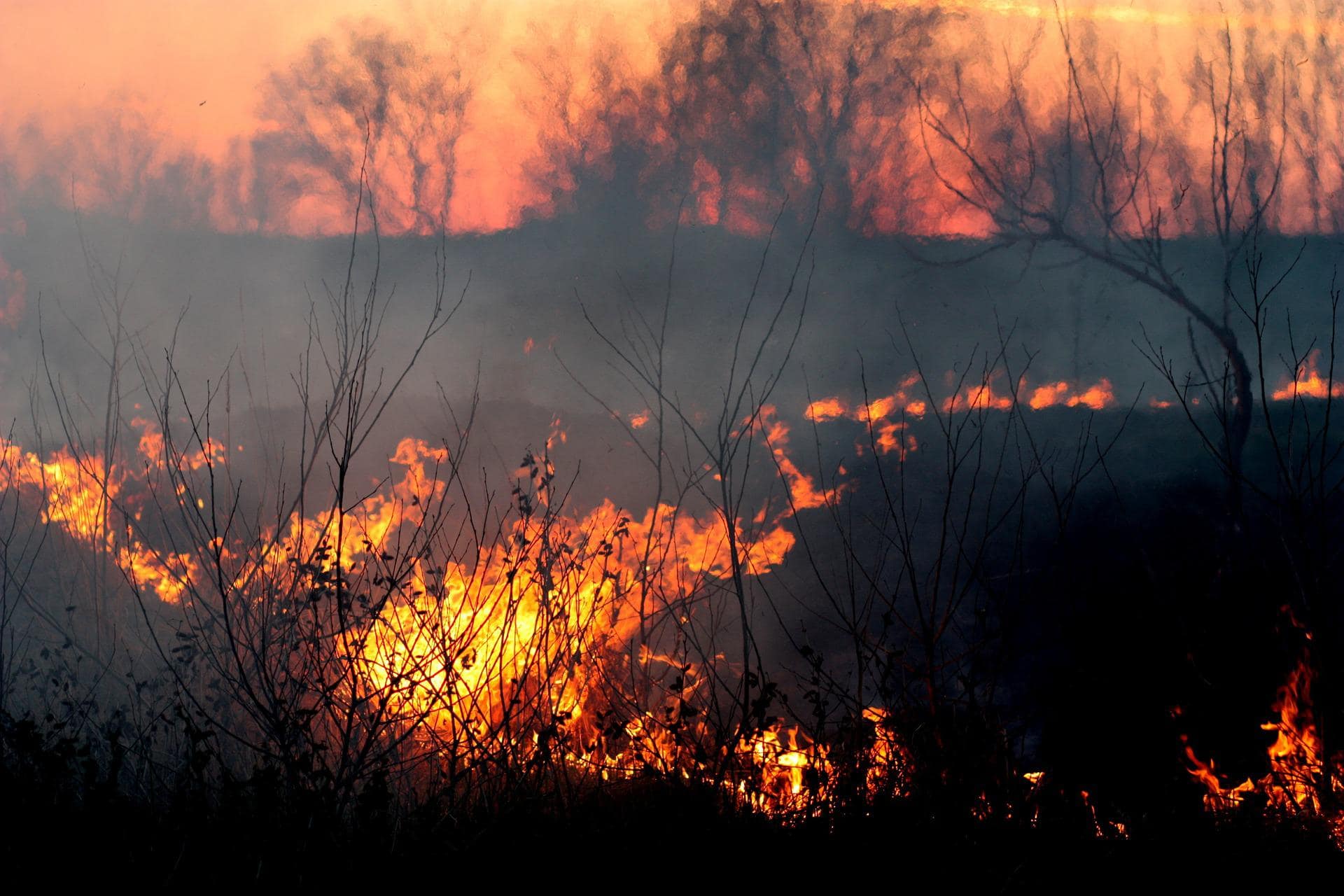 Distress Fire Disaster Preparedness: Secure Your Energy and Stay Ready for Anything ...